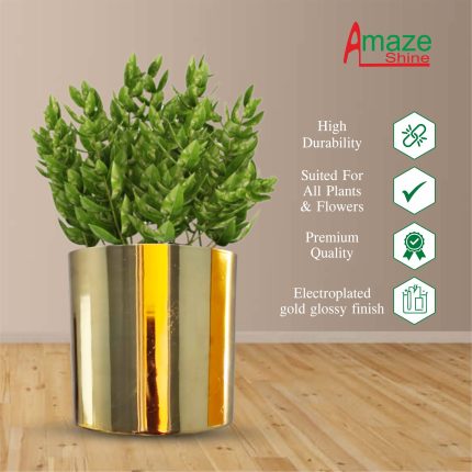Golden Vase 6 Inch | Amaze Shine