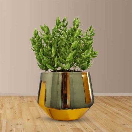 Golden Vase 4 Inch Kon  | Amaze Shine